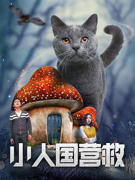 国产探花在线视频
