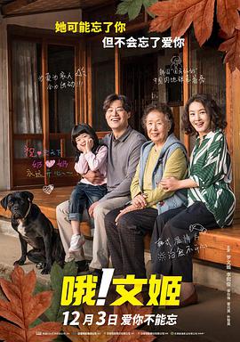 停车助手