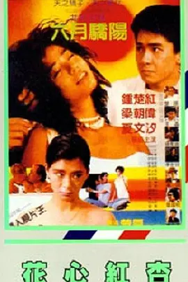 天天干小说