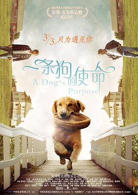 被狙击的女神天使动漫av