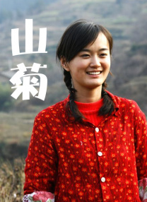 午夜不卡av在线