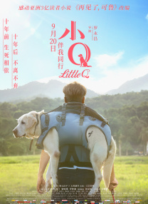 美女黄a视频